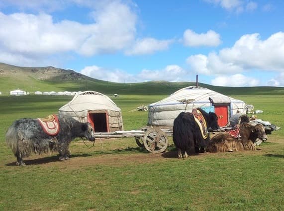 Das Mongol Nomadic Camp