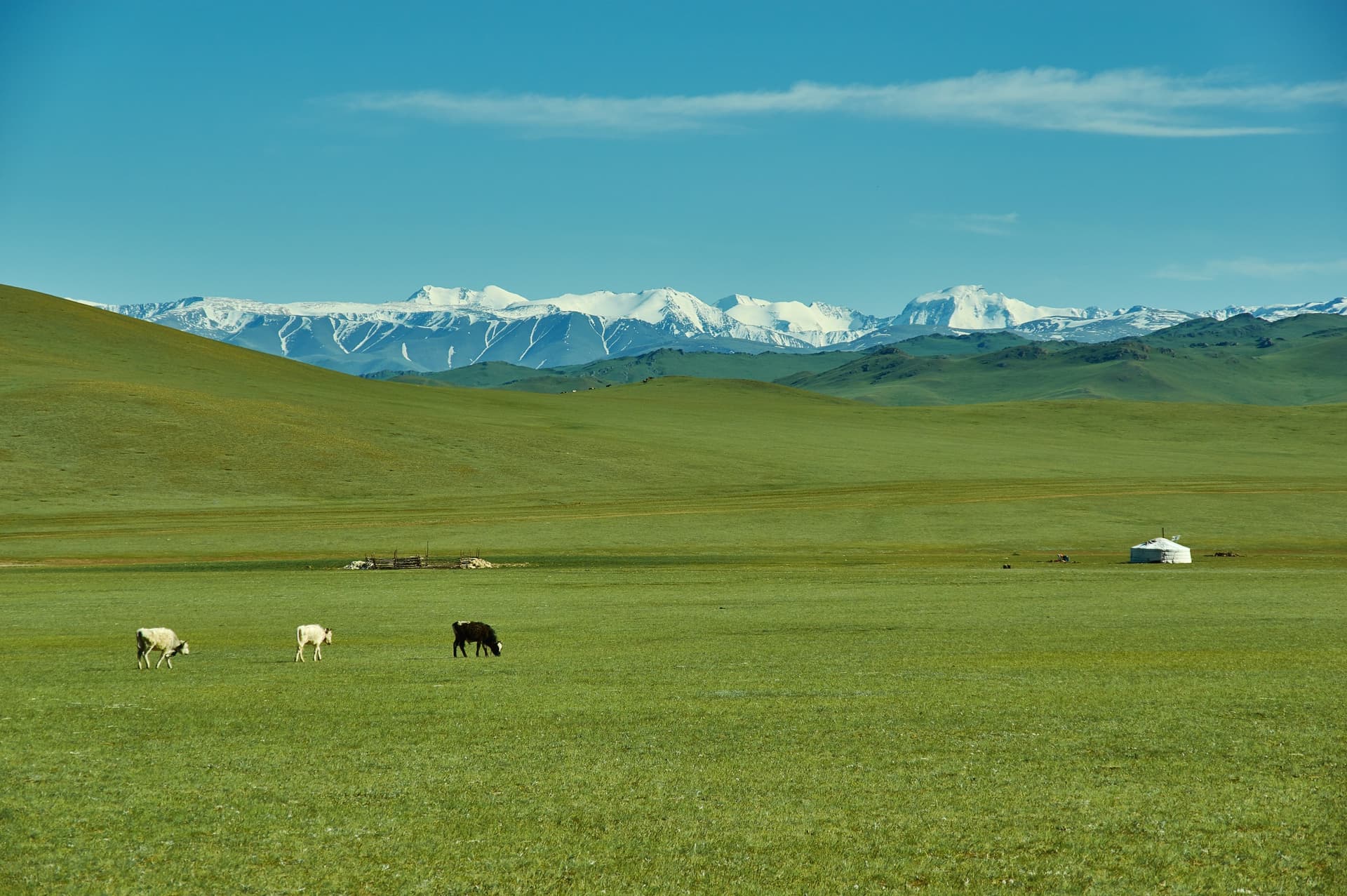 Mongolei wie Sie sie noch nie gesehen haben: Trekking im Kharkiraa-Massiv