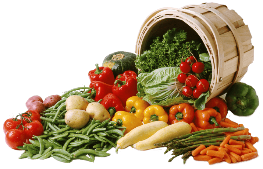 Als Vegetarier in die Mongolei reisen