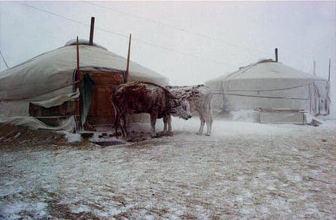 Heftige Schneestürme und Tauwetter verursachen Chaos