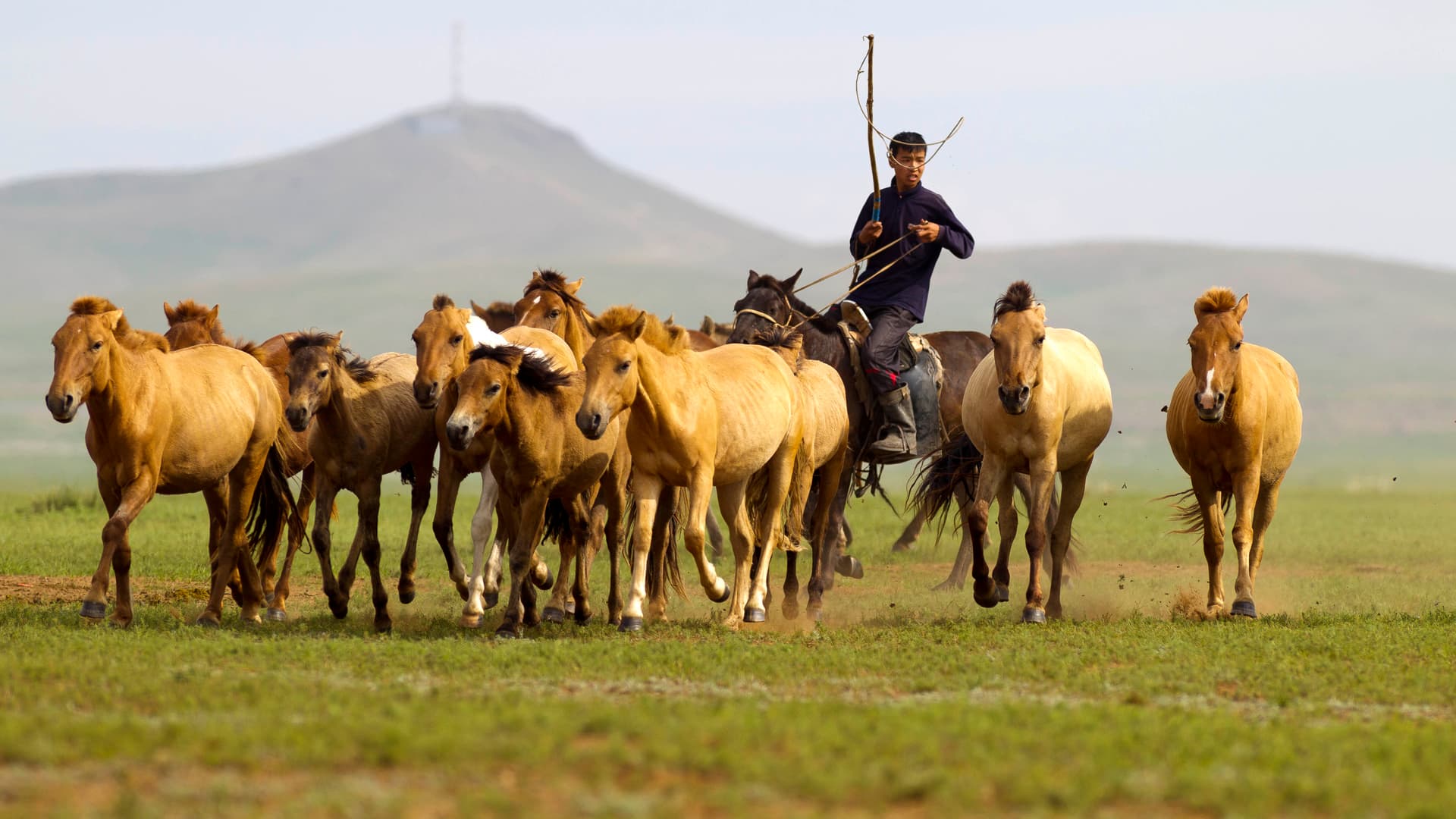 Nomadismus in der Mongolei