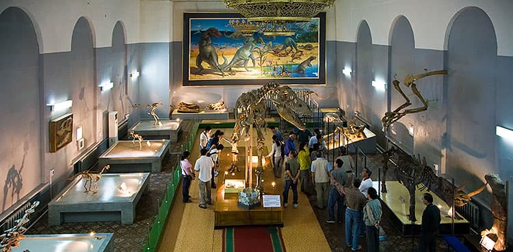 Unter der Herrschaft der Dinosaurier