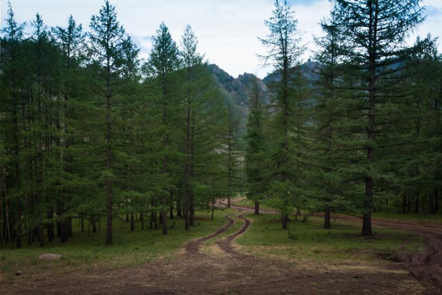Was gibt es im Gorkhi-Terelj-Nationalpark zu sehen und zu tun?