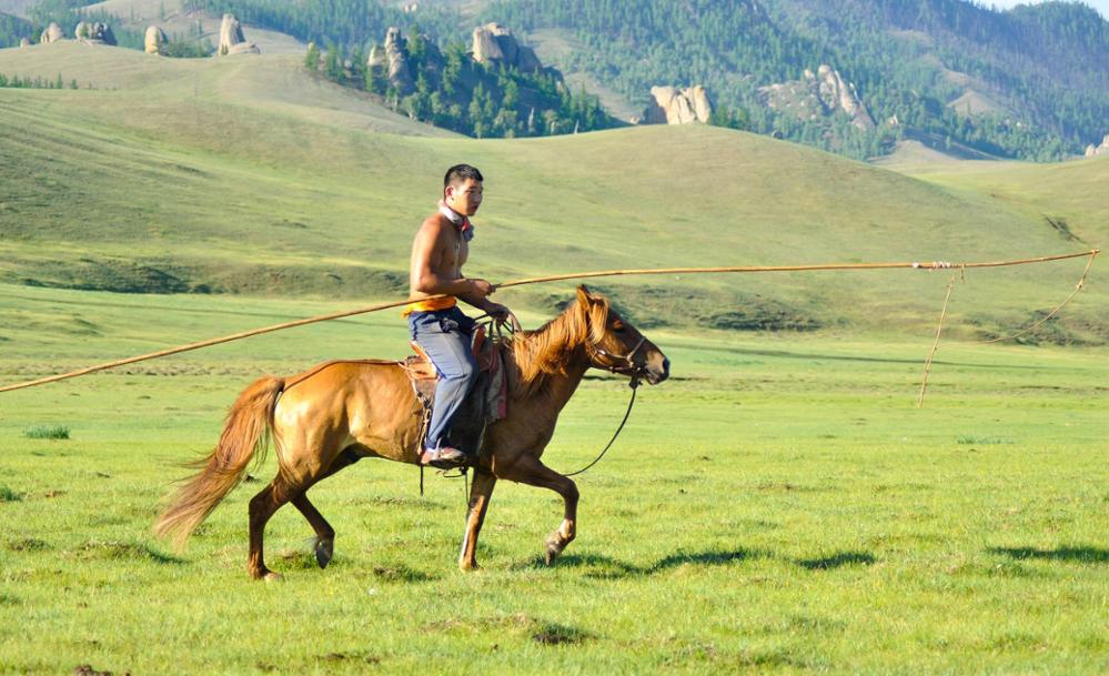 Nomadismus in der Mongolei