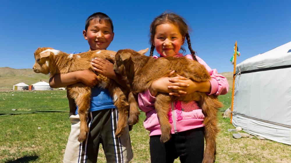 Demografie der Mongolei