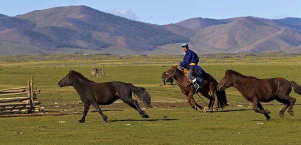 Top 10 Dinge zu Tun und zu Sehen in der Mongolei